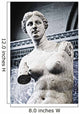 Louvre, Paris, France Wall Mural