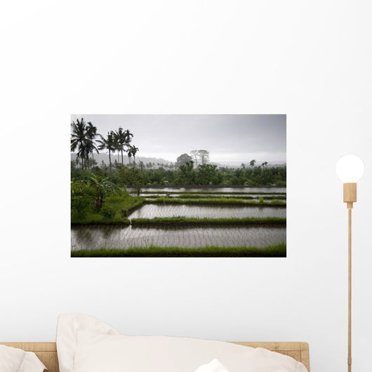 Rice Fields In Bali, Indonesia Wall Mural