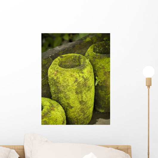Moss Covered Urns Wall Mural
