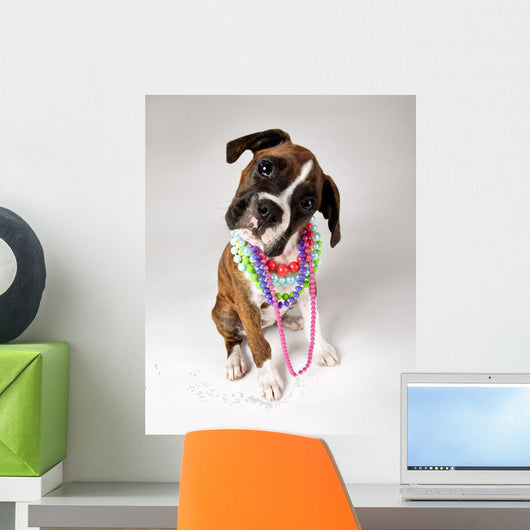 Dog With Necklaces Wall Mural