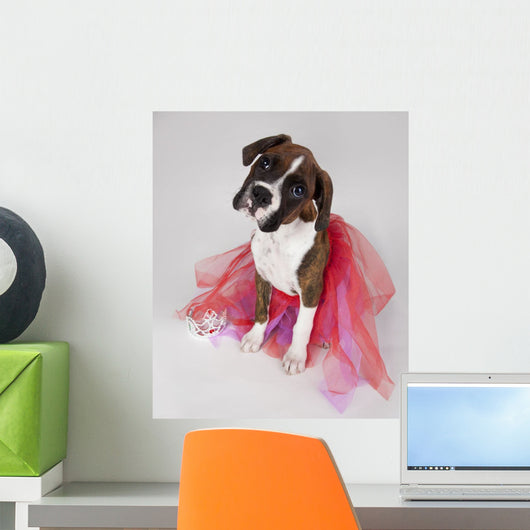Portrait Of Dog Wearing Tutu Wall Mural
