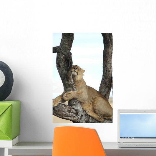 Sleeping in a Tree Wall Mural