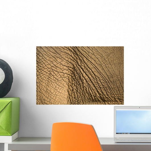 Elephant's Skin Wall Mural