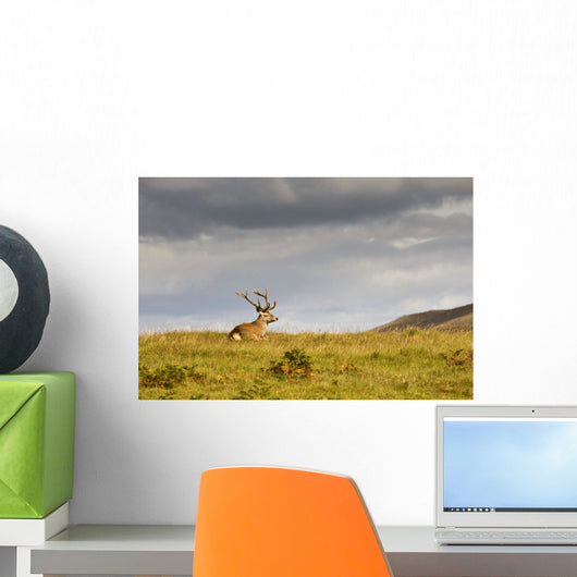 Island Of Islay, Scotland Wall Mural