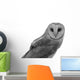 Owl Wall Decal
