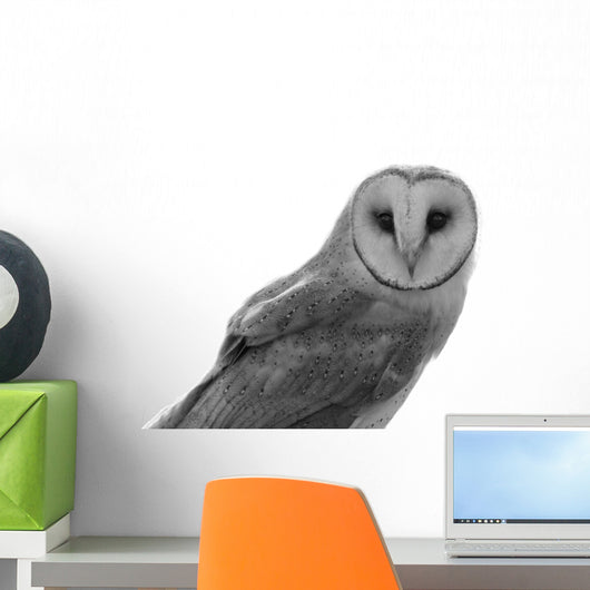 Owl Wall Decal