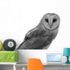 Owl Wall Decal