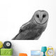 Owl Wall Decal