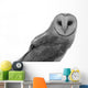 Owl Wall Decal