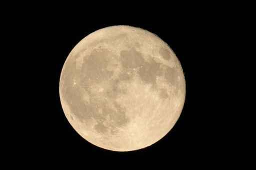Full Moon Wall Mural
