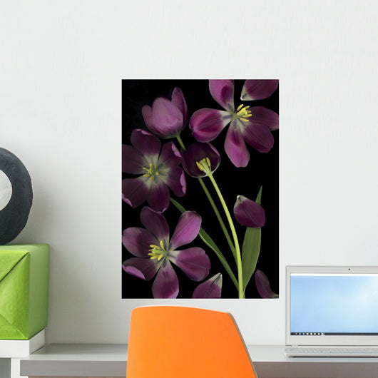 Purple Tulips Wall Mural