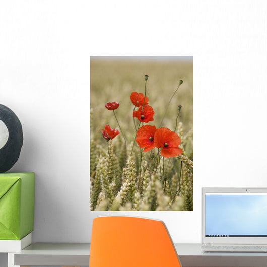 Wildflowers Wall Mural