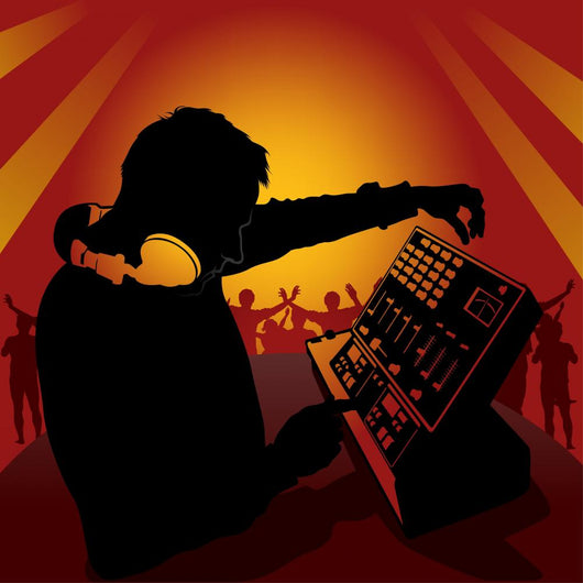 dj in action Wall Mural