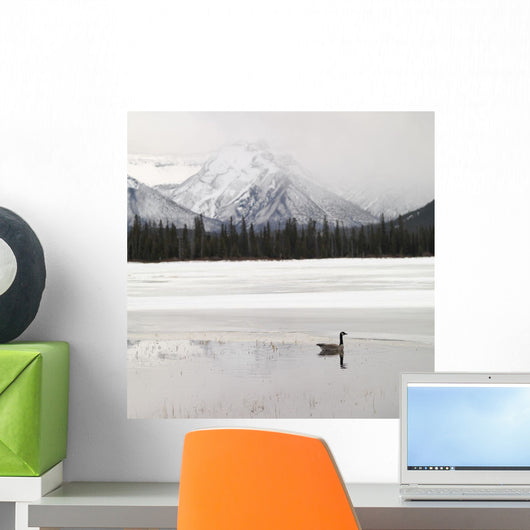 Winter Landscape, Banff National Park, Alberta, Canada Wall Mural