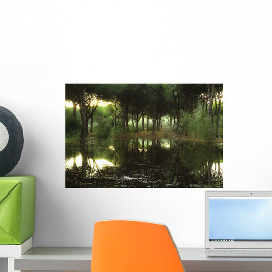 Tranquil Scenic Wall Mural