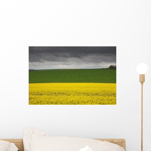 Fields Wall Mural