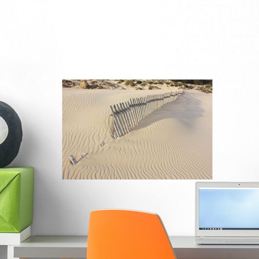 Fence In The Sand Wall Mural