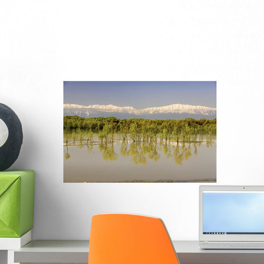 Trees Along Shoreline With Mountains In The Background Wall Mural