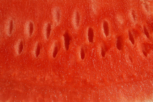 Up Watermelon Wall Mural