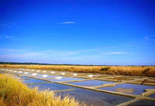 Guerande Salt Marsh Wall Mural