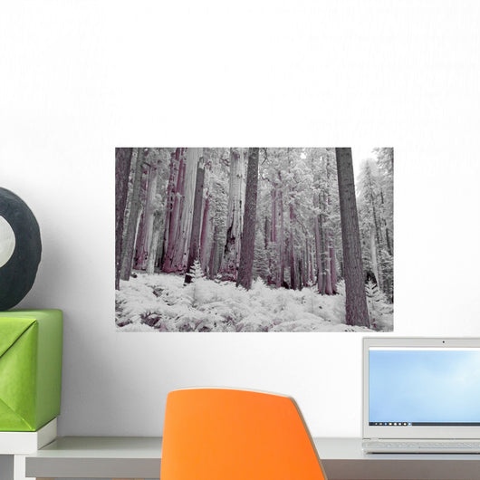 Infrared Shot Of The Giant Sequoia Forests In Sequoia National Park Wall Mural