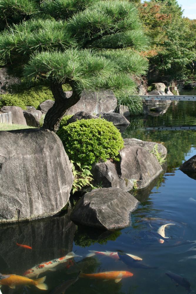 Japanese Garden Wall Mural – Wallmonkeys