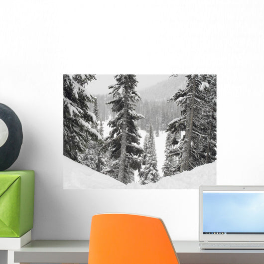 Evergreens At Ski Resort, Whistler, British Columbia, Canada Wall Mural