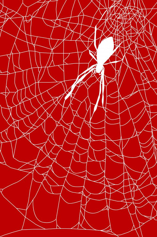 Cobweb
