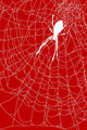 Cobweb