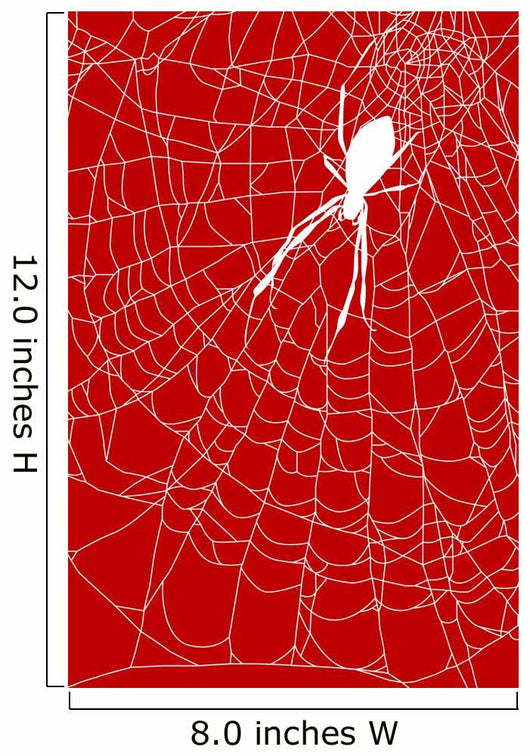 Cobweb
