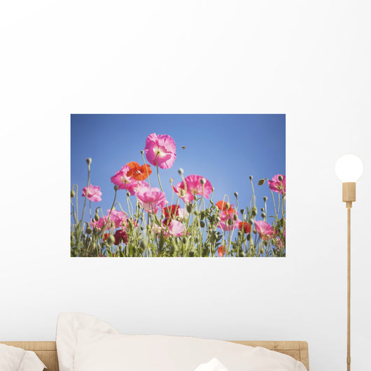 Pink Flowers Against Blue Sky Wall Mural