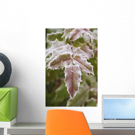 Frozen Leaves Wall Mural