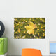 Fall Leaf In A Spider Web Wall Mural