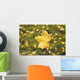 Fall Leaf In A Spider Web Wall Mural