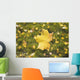 Fall Leaf In A Spider Web Wall Mural