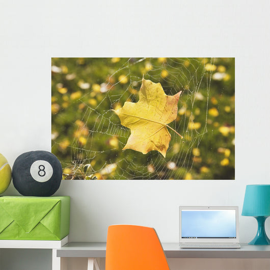 Fall Leaf In A Spider Web Wall Mural