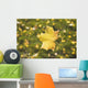 Fall Leaf In A Spider Web Wall Mural
