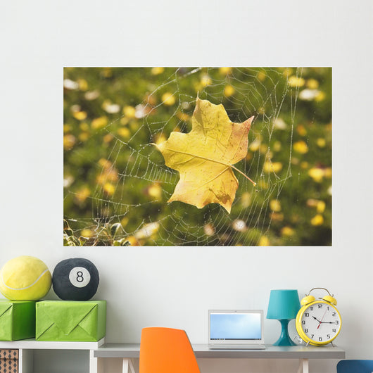 Fall Leaf In A Spider Web Wall Mural