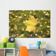 Fall Leaf In A Spider Web Wall Mural