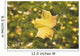 Fall Leaf In A Spider Web Wall Mural