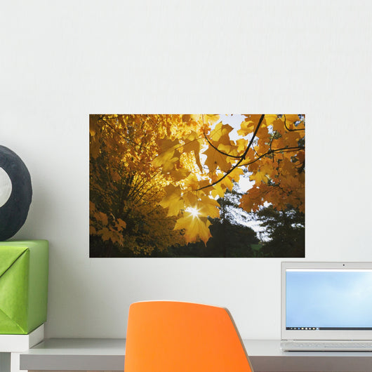 Fall Leaves Wall Mural