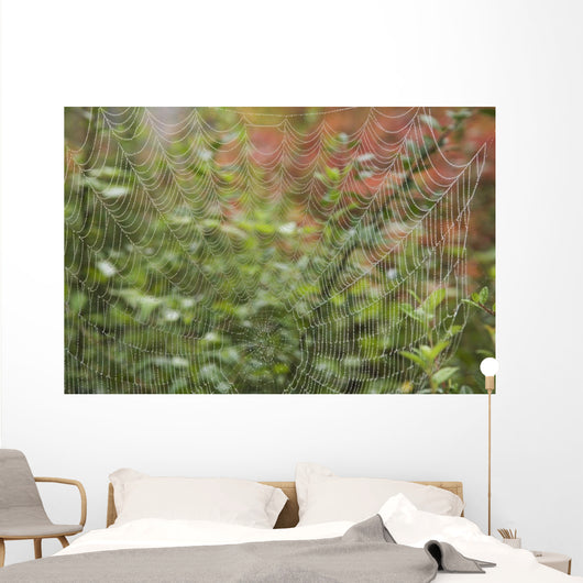 Detail Of Spider Web Wall Mural