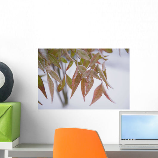 Leaves Wall Mural