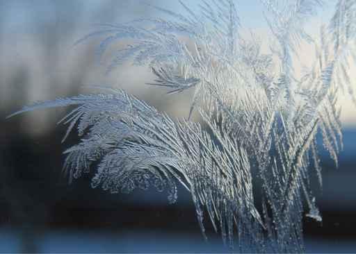 Jack Frost Wall Decal