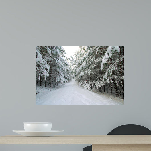 Wald Winter