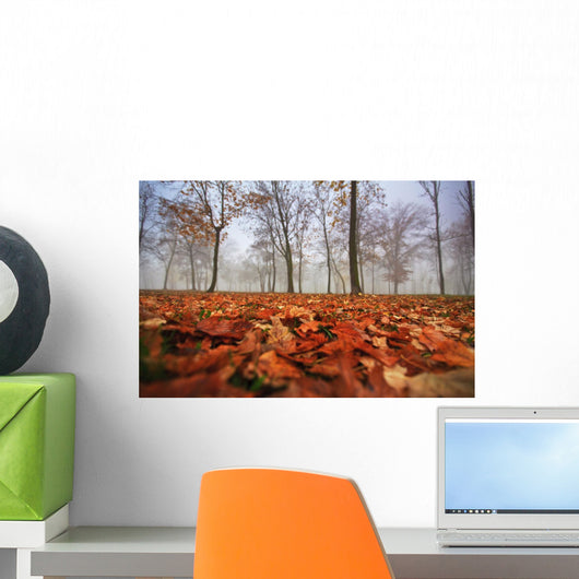 Autumn foliage, trees and fog in November Wall Mural