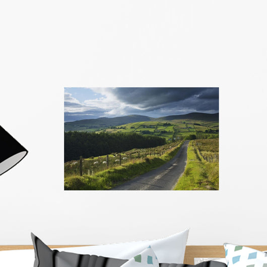 Road Through Glenelly Valley, County Tyrone, Northern Ireland Wall Mural