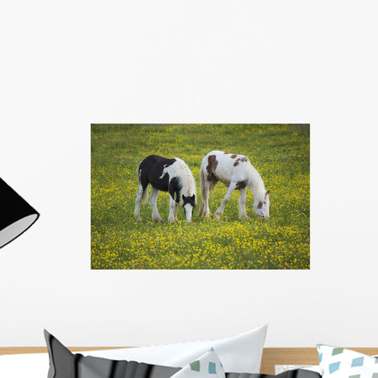 Horses Grazing, County Tyrone, Ireland Wall Mural
