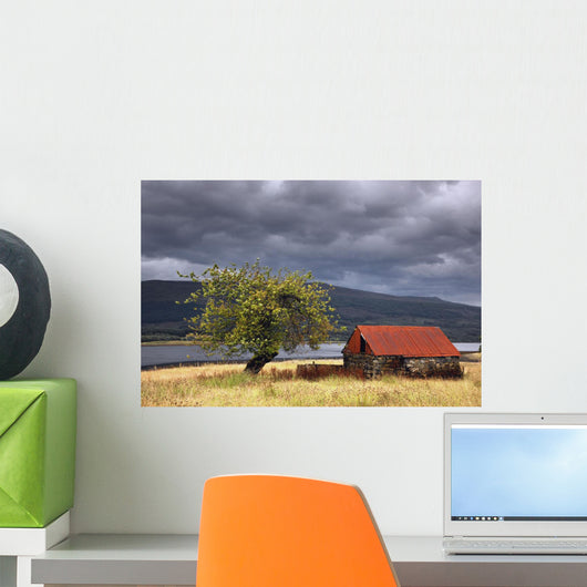 Shack In A Field Wall Mural