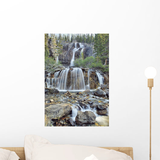 Tangle Falls, Jasper National Park, Alberta, Canada Wall Mural